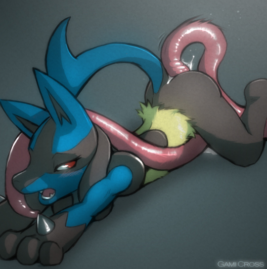 Rule34 – If it exists, there is porn of it / dark nek0gami, lucario / 212449