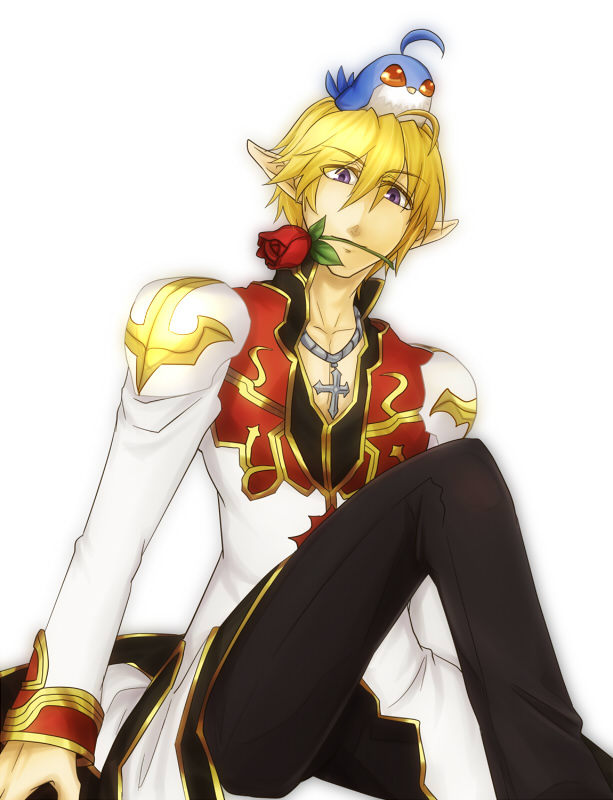 filir (ragnarok online), high priest (ragnarok online), ragnarok online, commentary request, 1boy, animal, animal on head, bird, bird on head, black coat, black pants, blonde hair, blue bird, closed mouth, coat, cross, cross necklace, feet out of frame, flower, flower in mouth, gold trim, hair between eyes, jewelry, long bangs, long sleeves, looking at viewer, male focus, masago (abyss child), multicolored coat, necklace, on head, pants, pointy ears, purple eyes, red coat, red flower, red rose, rose, short hair, simple background, sitting, solo, two-tone coat, white background, white coat