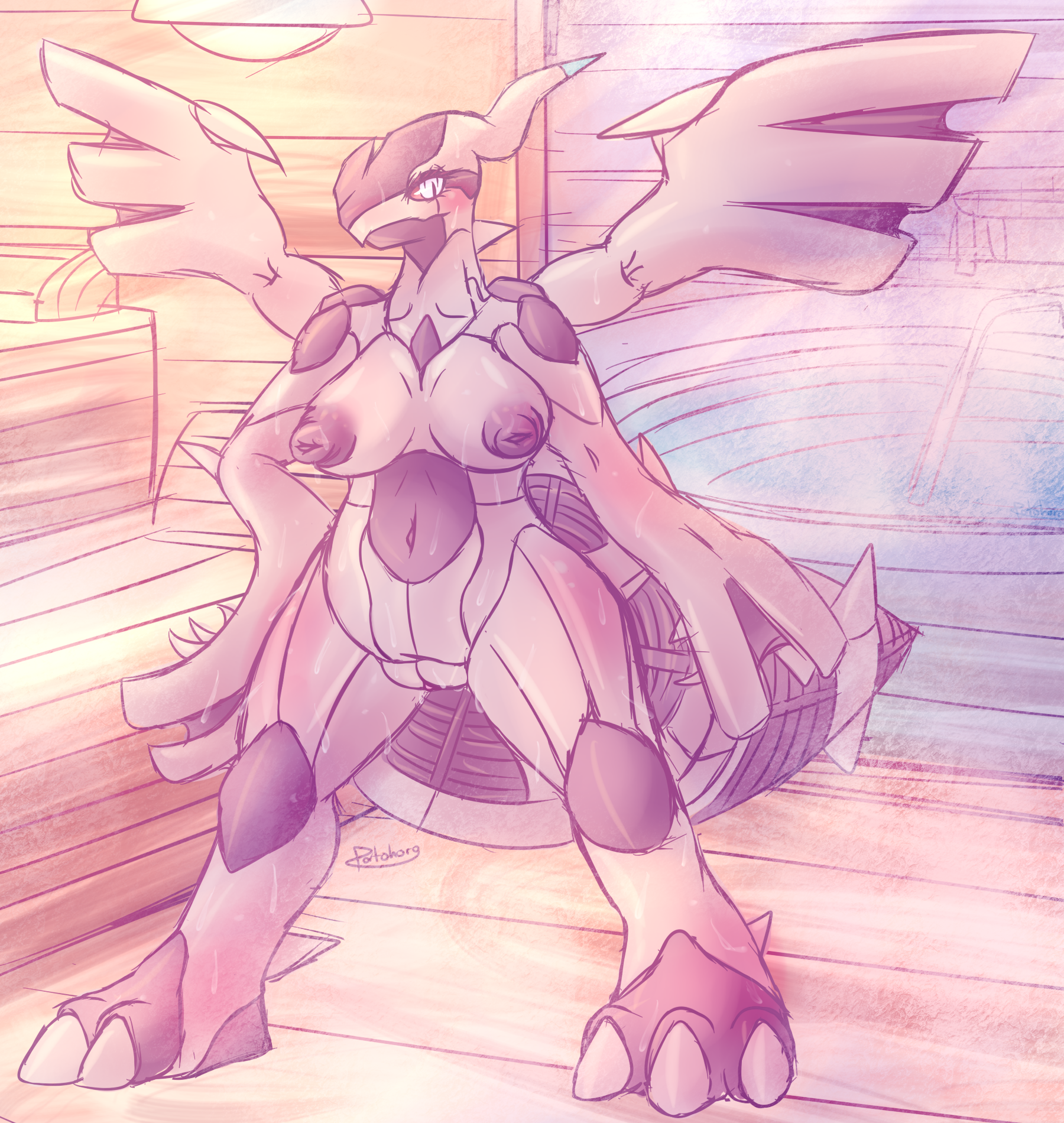 Rule34 – If it exists, there is porn of it / patohoro, legendary pokemon, zekrom / 213058
