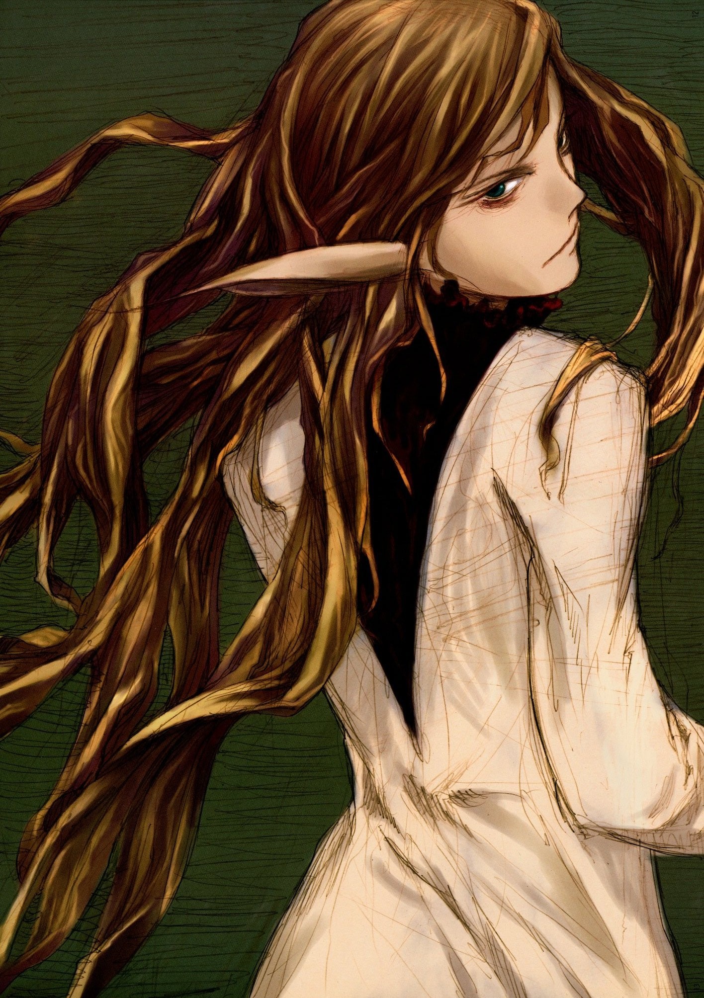abe yoshitoshi, highres, scan, brown hair, long hair, pointy ears, ryuu tai