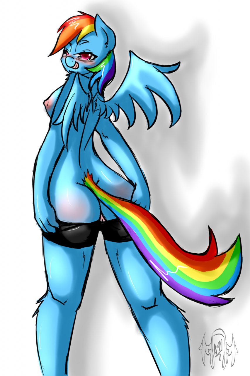 Rule34 – If it exists, there is porn of it / avante92, rainbow dash (mlp) / 213687