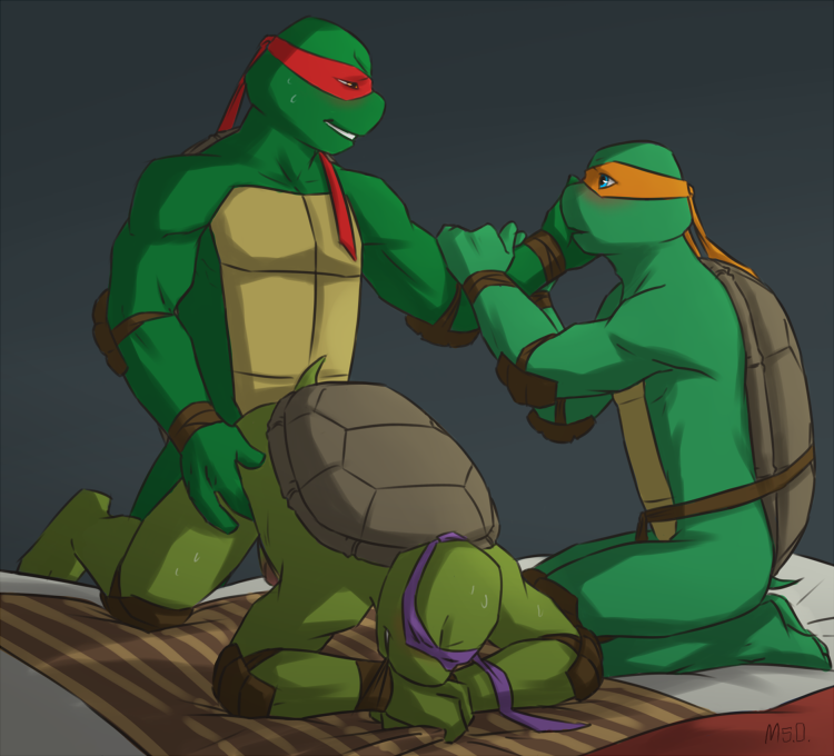 Rule34 – If it exists, there is porn of it / msobscure, donatello, michelangelo, raphael / 214356
