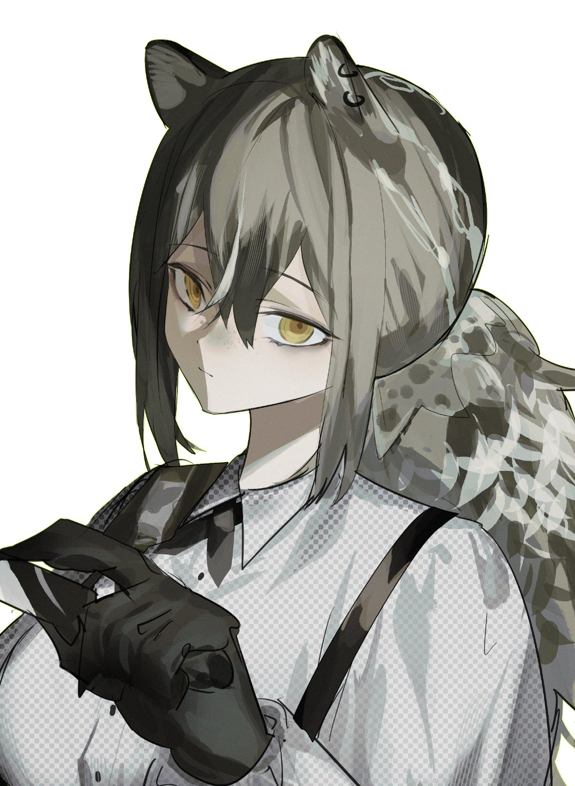 amn ic01, robin (arknights), arknights, highres, animal ear piercing, animal ears, brown hair, freckles, grey hair, holding, holding knife, knife, long hair, looking at viewer, multicolored hair, ponytail, raccoon ears, white hair, yellow eyes