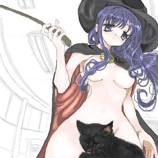 toshi (little-fluffy-cloud), kurusugawa serika, to heart, to heart (series), 1girl, blue eyes, blue hair, cape, cat, censored, classroom, convenient censoring, female focus, fisheye, hair censor, hair over breasts, hat, long hair, naked cape, nude, oekaki, school, solo, witch hat, yonic symbol
