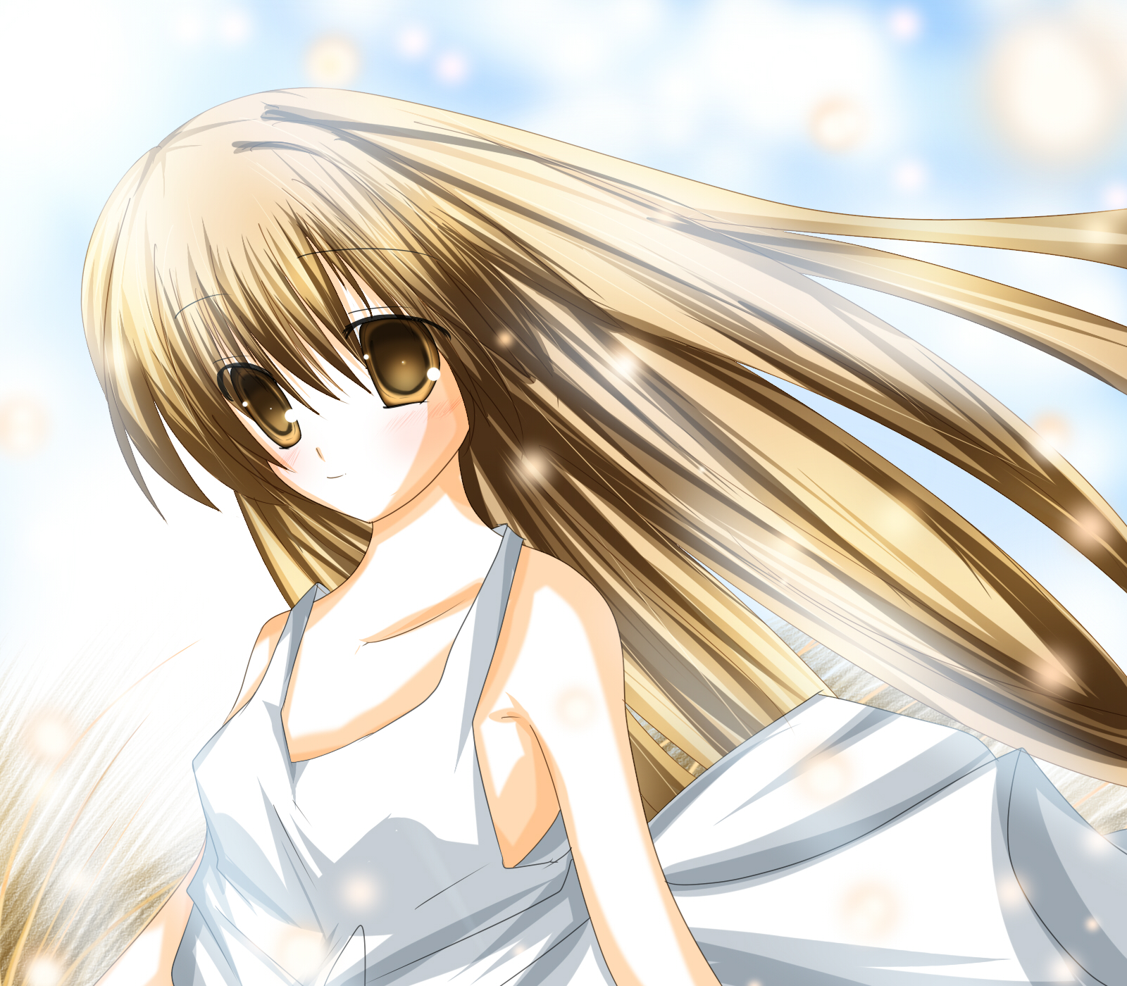 tabuchi (tabuchisanchi), tabuchisan, girl from the illusionary world, clannad, bad id, bad pixiv id, highres, 00s, 1girl, brown eyes, brown hair, dress, female focus, long hair, solo, sparkle