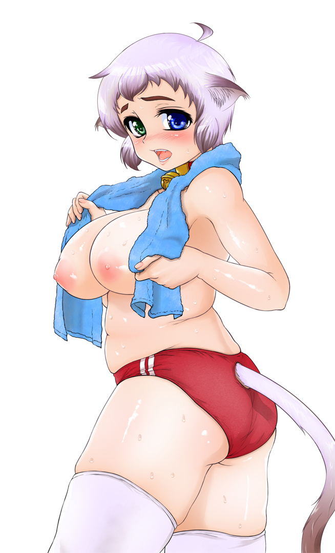 shiba (pixiv244), animal ears, breasts, buruma, cat ears, cat tail, curvy, gym uniform, heterochromia, large breasts, nipples, plump, solo, sweat, tail, thighhighs, topless female, towel, white hair