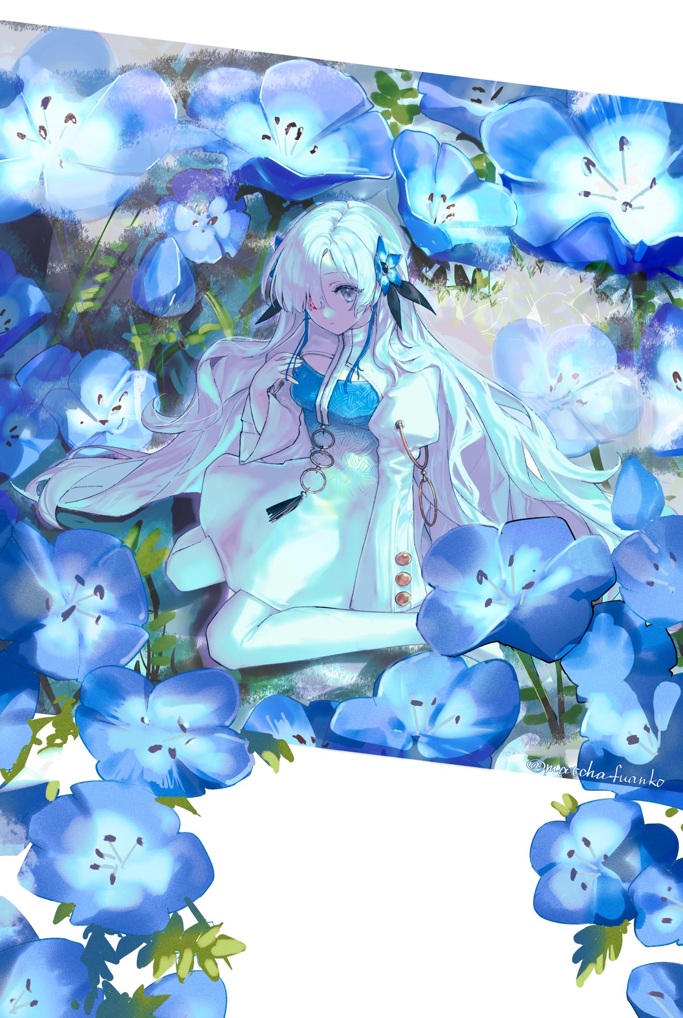 matchafuanko, isekaijoucho, kamitsubaki studio, highres, 1girl, dress, flower, grey eyes, hair flower, hair ornament, hair over one eye, heterochromia, long hair, looking at viewer, nemophila (flower), pantyhose, red eyes, sitting, solo, very long hair, white hair, white pantyhose