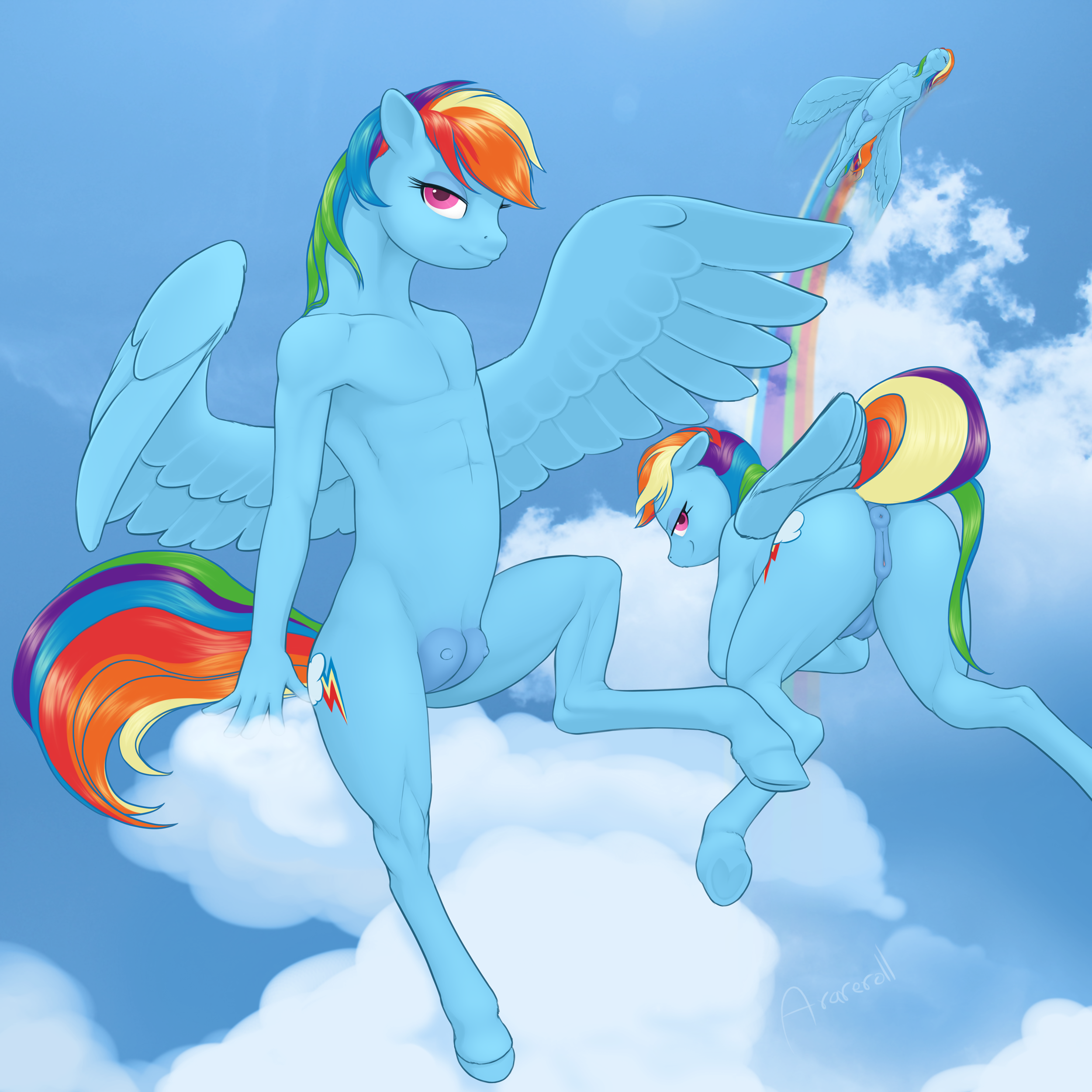 Rule34 – If it exists, there is porn of it / arareroll, rainbow dash (mlp) / 215687
