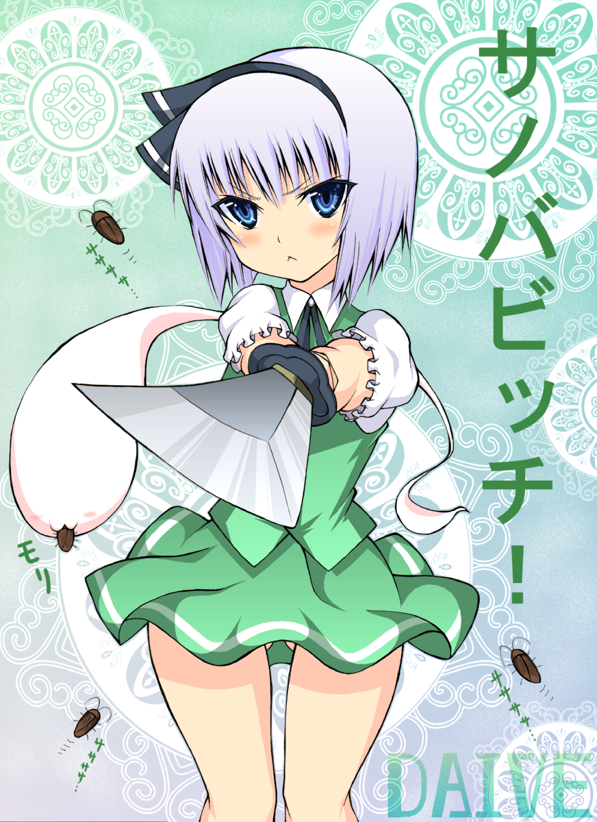 daive, konpaku youmu, konpaku youmu (ghost), touhou, silver hair, bad id, bad pixiv id, highres, translation request, 1girl, :<, :3, blue eyes, bug, cockroach, female focus, hairband, hitodama, katana, short hair, solo, sword, weapon