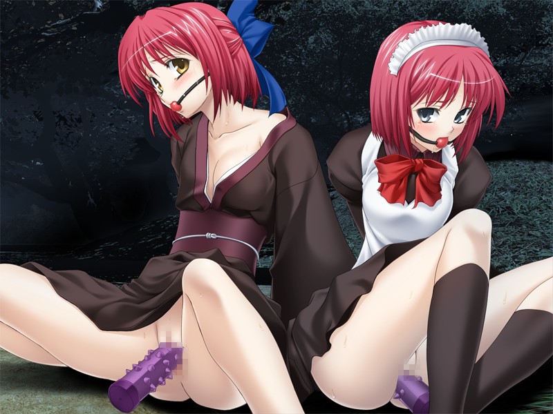 hisui (tsukihime), kohaku (tsukihime), tsukihime, 00s, 2girls, ball gag, bdsm, bondage, bottomless, bound, censored, dildo, gag, gagged, japanese clothes, kimono, maid, maid headdress, multiple girls, sex toy, siblings, sisters, thighs, twins, vaginal