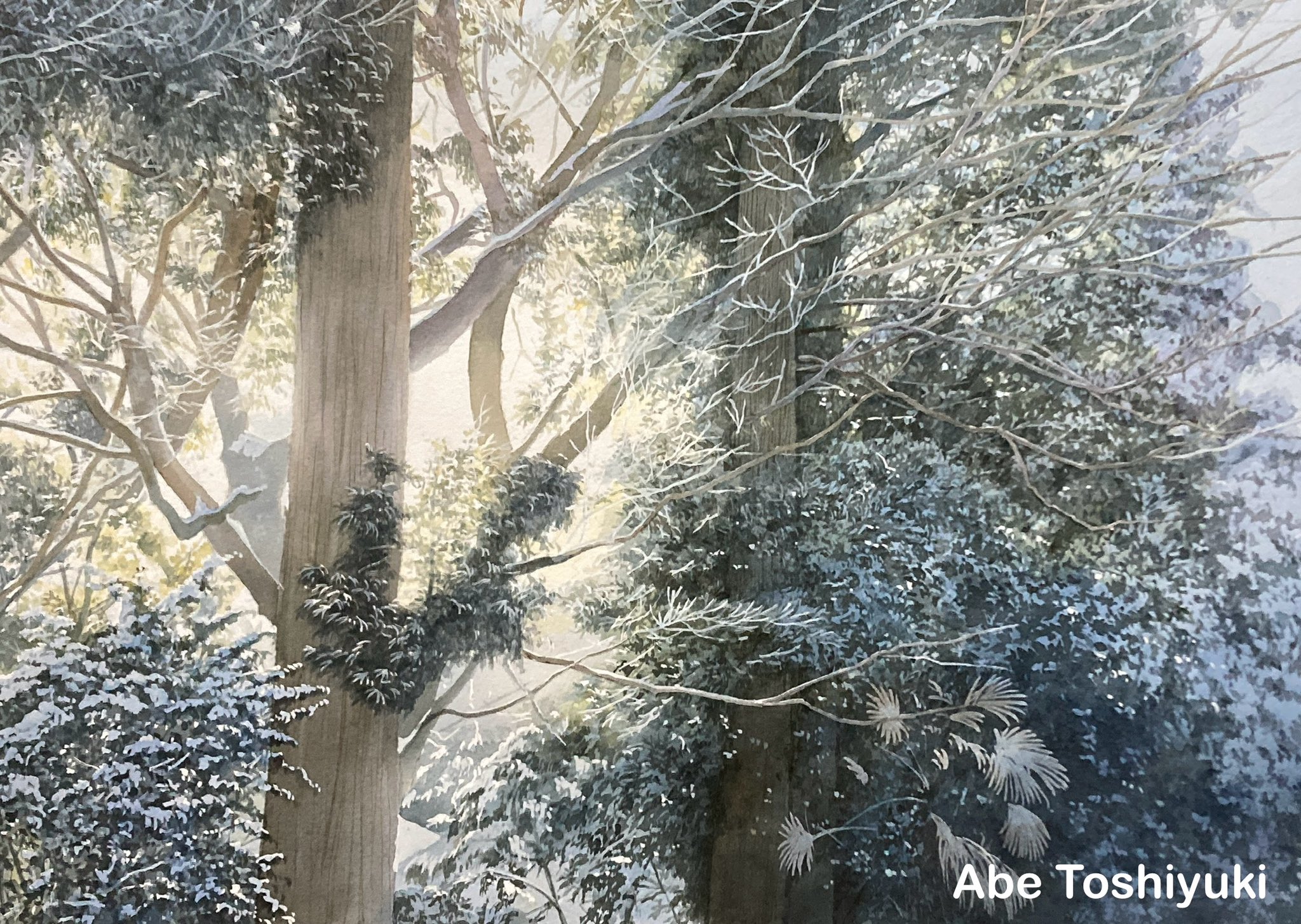 abe toshiyuki, original, commentary request, highres, painting (medium), traditional media, watercolor (medium), artist name, branch, day, no humans, outdoors, scenery, snow, tree, winter