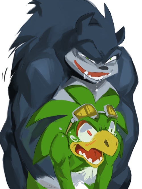 Rule34 – If it exists, there is porn of it / gingertail, jet the hawk, sonic the werehog / 216000