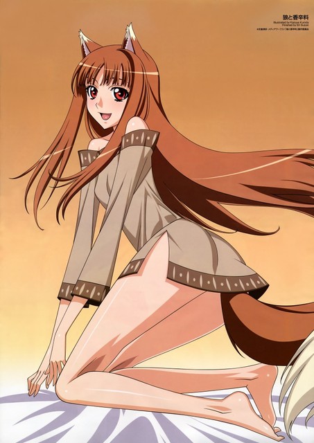 holo, spice and wolf, animal ears, red eyes, tail, wolf ears