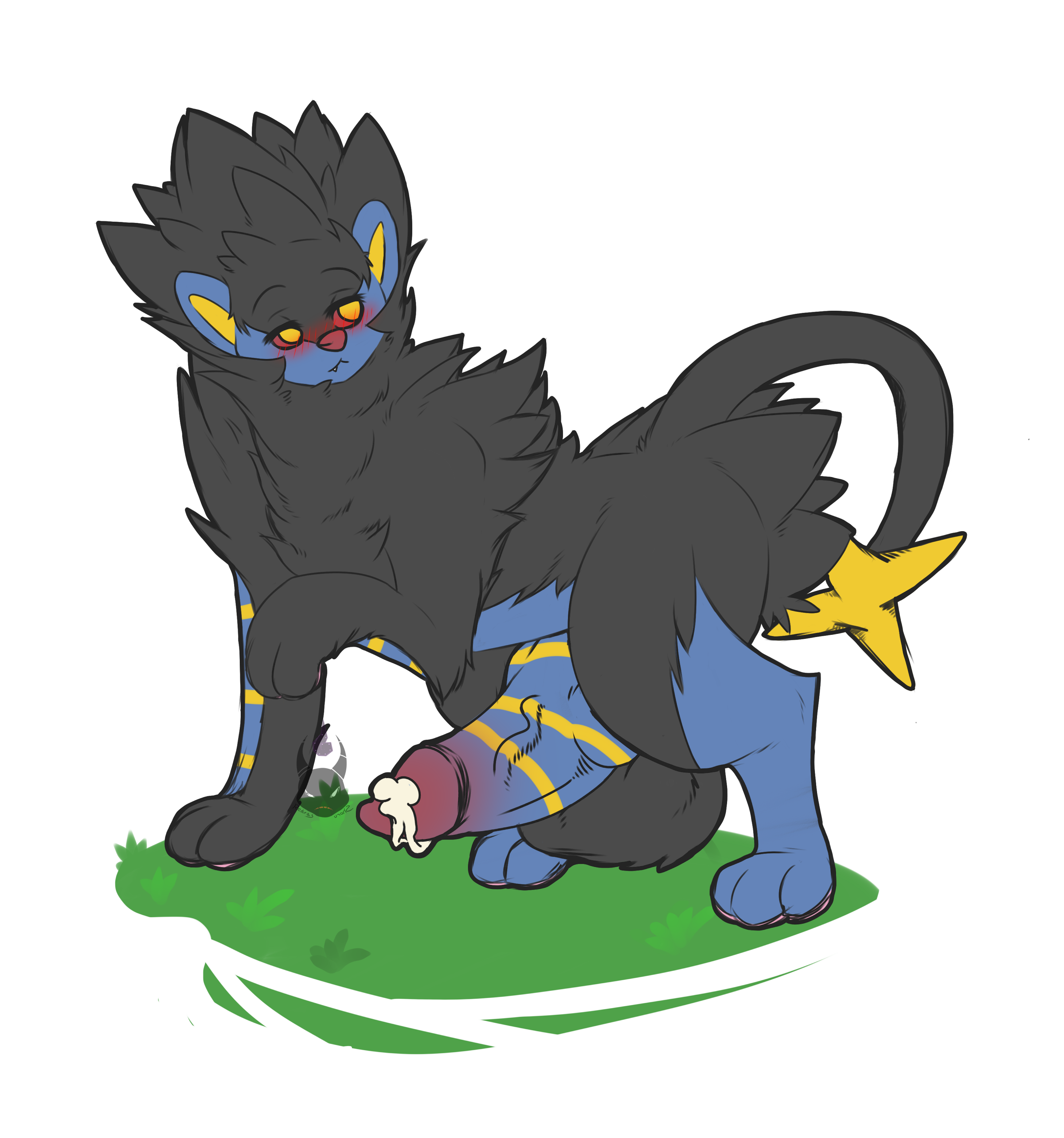 Rule34 – If it exists, there is porn of it / redras shoru, luxray / 216290