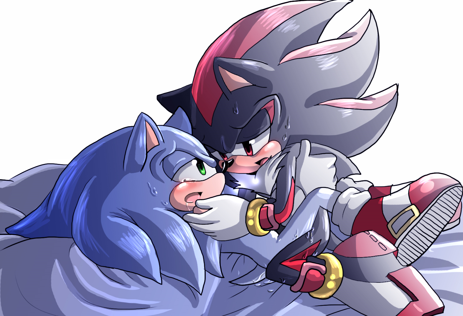 Rule34 – If it exists, there is porn of it / angelofhapiness, shadow the hedgehog, sonic the hedgehog / 216752