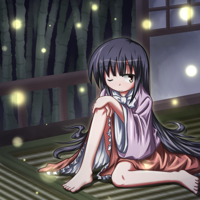 baerun, houraisan kaguya, touhou, 1girl, barefoot, black hair, feet, female focus, full body, indoors, plant, sitting, solo, wink