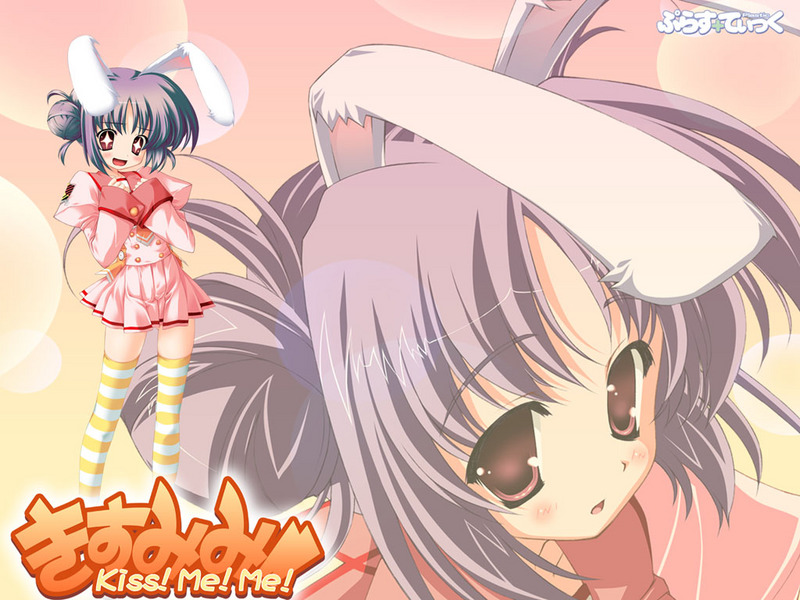 yuuki hagure, inuyama usammi, kiss me me!, animal ears, blush, brown eyes, purple hair, rabbit ears, socks