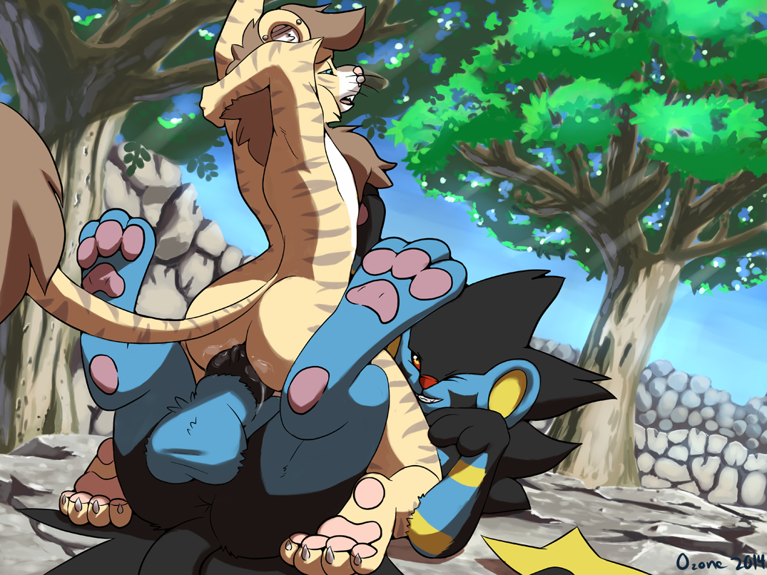 Rule34 – If it exists, there is porn of it / ozoneserpent, luxray / 218433