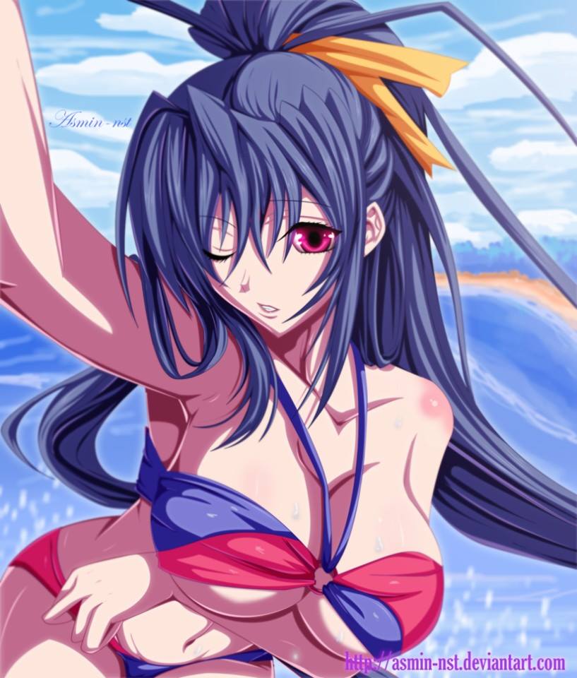 Rule34 – If it exists, there is porn of it / animius, akeno himejima / 218995
