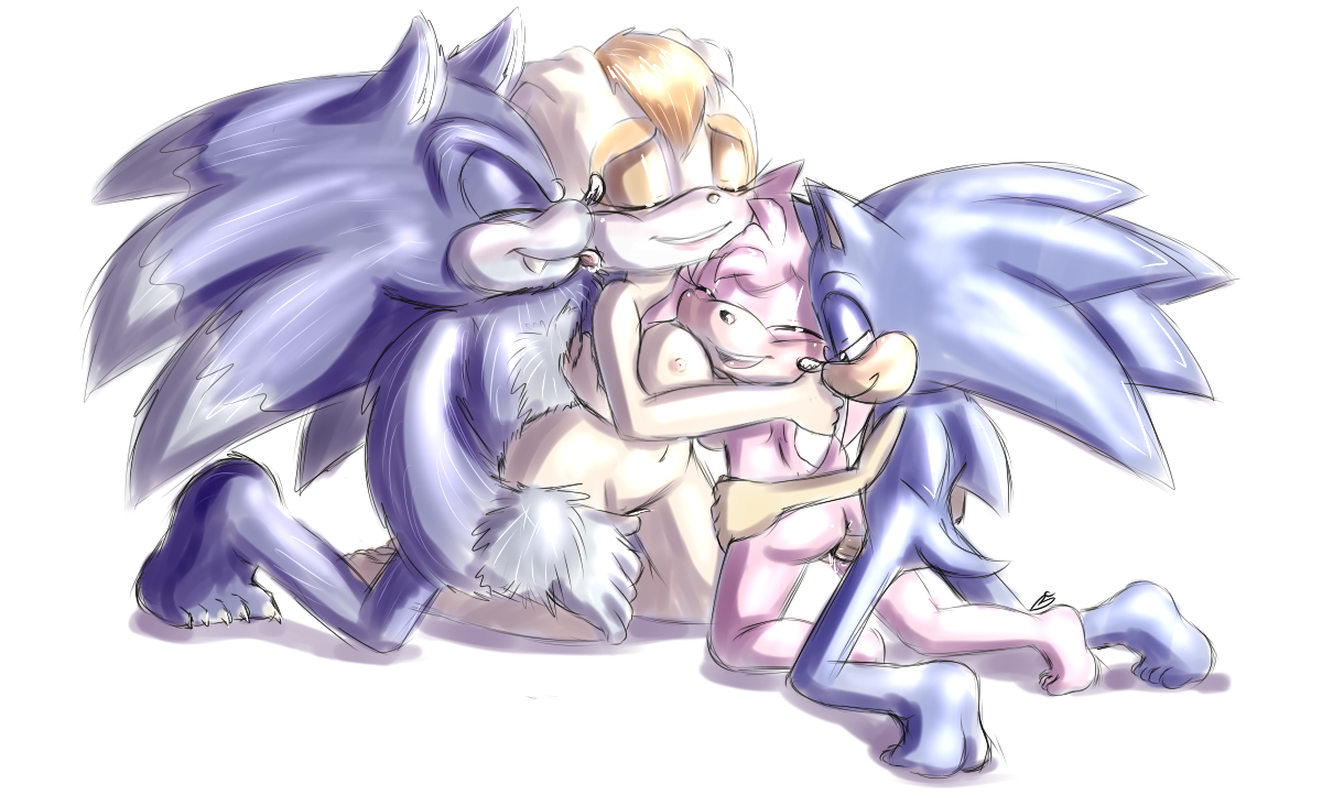 Rule34 – If it exists, there is porn of it / bluechika, amy rose, sonic the hedgehog, sonic the werehog, vanilla the rabbit / 219025