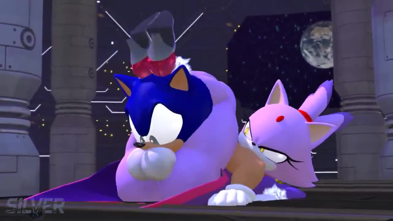 Rule34 – If it exists, there is porn of it / blaze the cat, sonic the hedgehog / 8679299