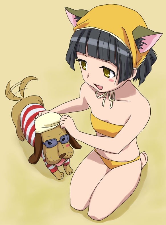 komatsu (sakanae), dorm leader, yonakuni, maria holic, striped, 00s, animal ears, barefoot, bikini, black hair, bob cut, cat ears, dog, dorm mistress, flat chest, foreshortening, goggles, hat, kneeling, solo, swimsuit, yellow eyes
