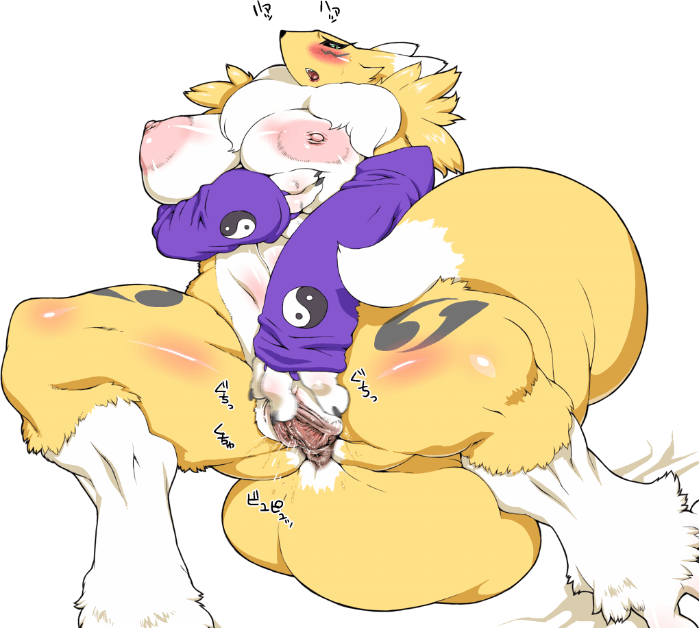 Rule34 – If it exists, there is porn of it / nezumi, renamon / 220013