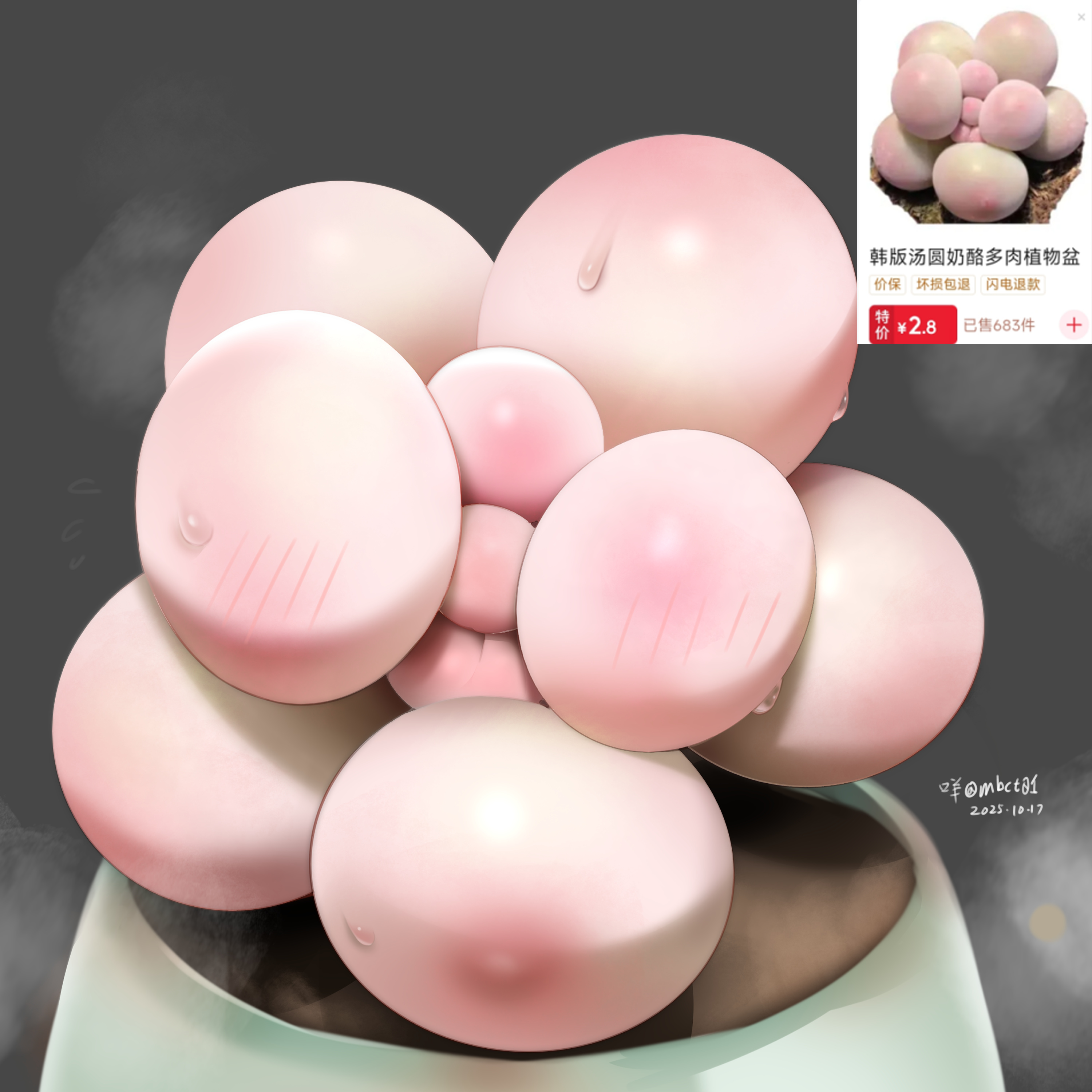 mbct01, original, absurdres, highres, photo-referenced, translation request, artist name, blush, chinese text, dated, grey background, no humans, photo inset, plant, reference inset, signature, simple background, steam, still life, succulent plant, sweat, twitter username
