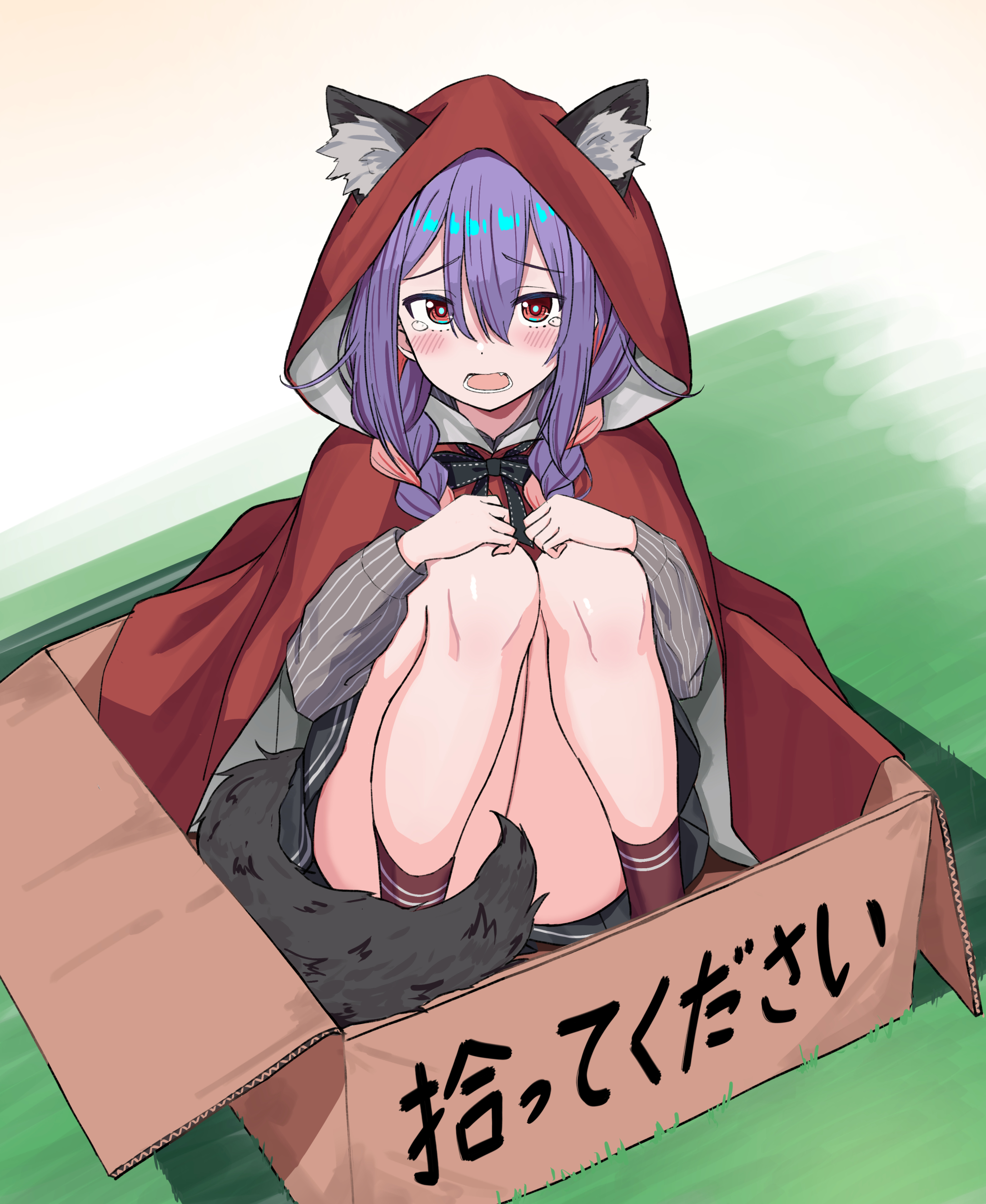 urushiushiru, little red riding hood (fairy tale), original, braided twintails, absurdres, commentary request, highres, translation request, variant set, 1girl, animal ear fluff, animal ears, aqua pupils, black bow, black skirt, blush, bow, box, braid, bright pupils, cardboard box, center-flap bangs, cloak, convenient censoring, double-parted bangs, full body, grey shirt, hair between eyes, hands on own knees, hood, hooded cloak, in box, in container, iroha nanairo (urushiushiru), knees up, long bangs, long hair, long sleeves, looking at viewer, miniskirt, open mouth, purple hair, raised inner eyebrows, red cloak, red eyes, red socks, shirt, sitting, skirt, socks, solo, straight-on, striped clothes, striped shirt, tail, tearing up, vertical-striped clothes, vertical-striped shirt, wolf ears, wolf girl, wolf tail