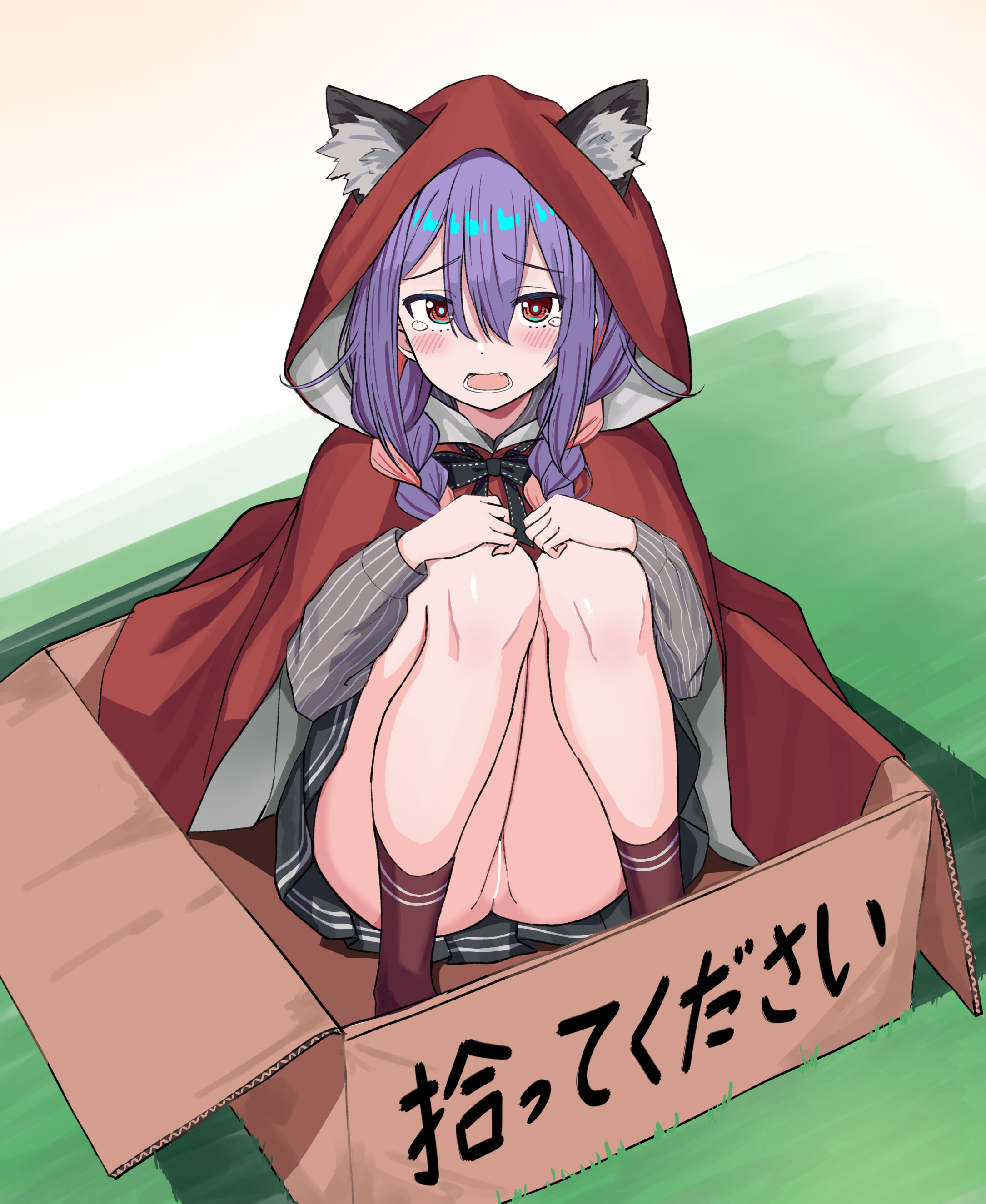 urushiushiru, little red riding hood (fairy tale), original, braided twintails, absurdres, commentary request, highres, translation request, variant set, 1girl, animal ear fluff, animal ears, aqua pupils, bar censor, black bow, black skirt, blush, bow, box, braid, bright pupils, cardboard box, censored, center-flap bangs, cloak, double-parted bangs, full body, grey shirt, hair between eyes, hands on own knees, hood, hooded cloak, in box, in container, iroha nanairo (urushiushiru), knees up, long bangs, long hair, long sleeves, looking at viewer, miniskirt, no panties, open mouth, purple hair, pussy, raised inner eyebrows, red cloak, red eyes, red socks, shirt, sitting, skirt, socks, solo, straight-on, striped clothes, striped shirt, tearing up, vertical-striped clothes, vertical-striped shirt, wolf ears, wolf girl