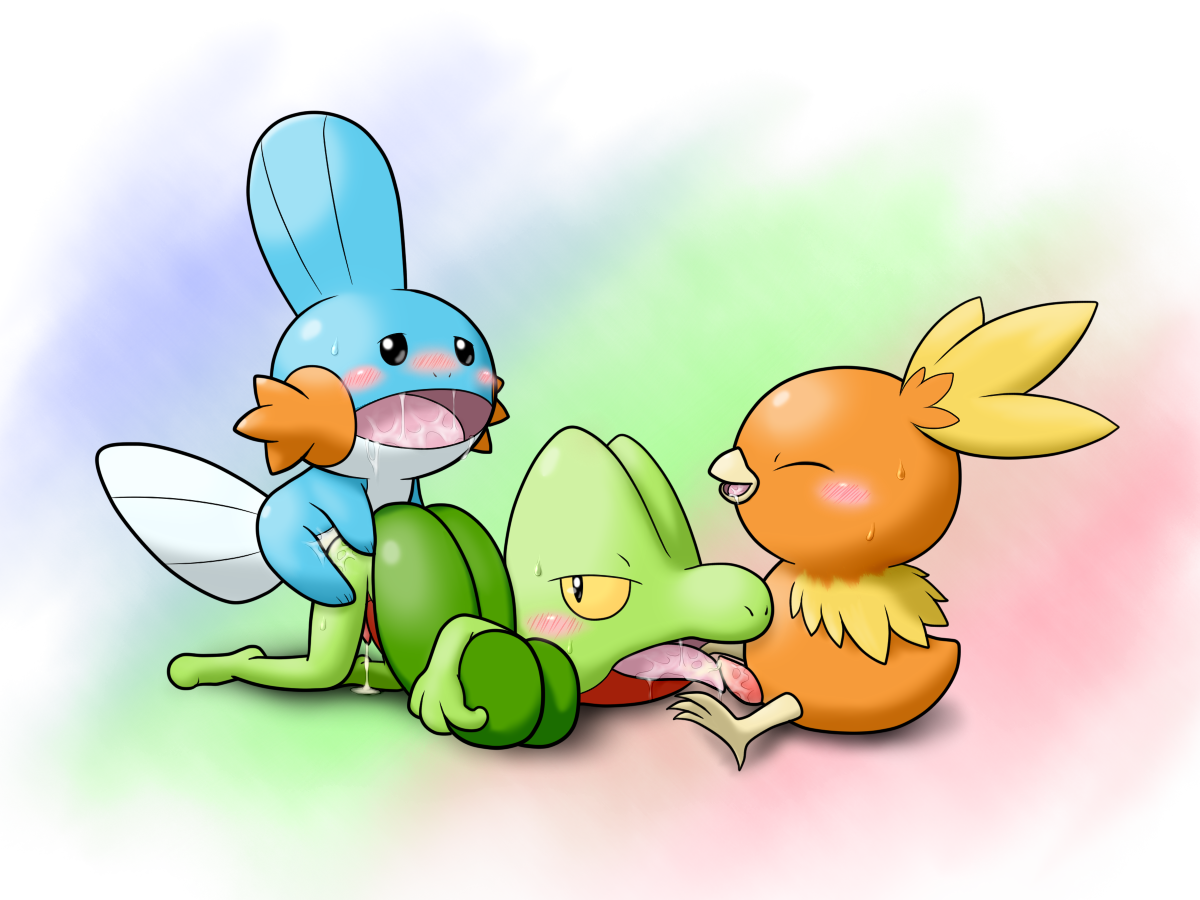 Rule34 – If it exists, there is porn of it / mudkip, torchic, treecko / 221029
