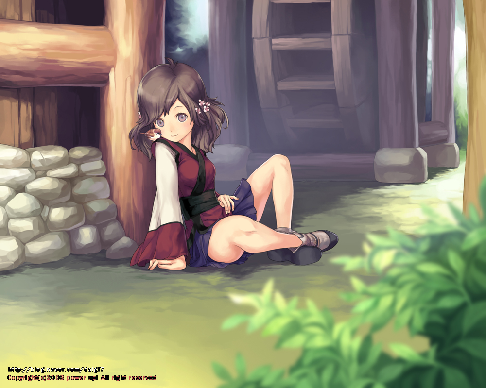 comet (teamon), original, 00s, 1girl, 2008, animal, animal on shoulder, bird, bird on shoulder, blurry, brown hair, comet, crossed legs, depth of field, female focus, flower, grass, hair flower, hair ornament, korean clothes, multicolored eyes, outdoors, sash, sitting, skirt, smile, solo, sparrow, village, water wheel, watermark, web address, wide sleeves