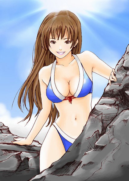 hybrid cat, kasumi (doa), dead or alive, tecmo, bikini, brown eyes, brown hair, day, long hair, smile, swimsuit