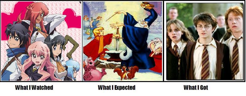 archimedes, arthur, harry potter, hiraga saito, kirche augusta frederica von anhalt zerbst, louise francoise le blanc de la valliere, madam mim, merlin, tabitha, disney, zero no tsukaima, siesta, sword in the stone, what i watched what i expected what i got (meme)