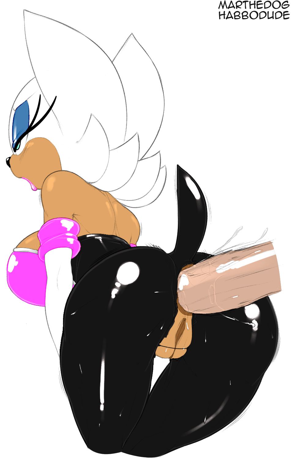 Rule34 – If it exists, there is porn of it / habbodude, marthedog, rouge the bat / 221626