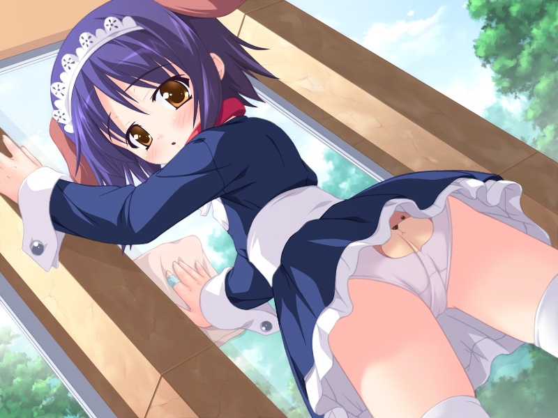 munyuu, rion (watashi no puni puni), daisuki na sensei ni h na onedari shichau omase na boku no/watashi no puni puni, 1girl, animal ears, animal print, ass, back-print panties, bandaid, bandaid on hand, black dress, blush, brown eyes, cleaning, cloud, collar, dog ears, dog girl, dog print, dress, from behind, loli, long sleeves, looking at viewer, looking back, maid, maid headdress, open mouth, panties, pantyshot, print panties, purple hair, short hair, sky, thighhighs, tree, underwear, upskirt, white panties, white thighhighs, window