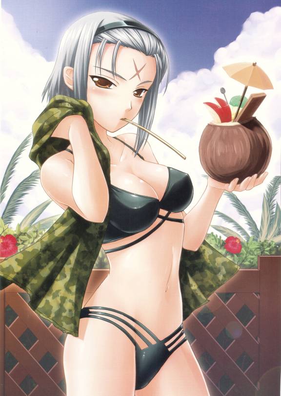 shironeko sanbou, kuki ageha, kimi ga aruji de shitsuji ga ore de, silver hair, jpeg artifacts, official art, 00s, 1girl, apple rabbit, bikini, black bikini, blush, breasts, brown eyes, brown hair, camouflage, cleavage, cloud, cocktail umbrella, coconut, covered erect nipples, day, drink, facial mark, female focus, fence, flower, food, food art, forehead mark, fruit cup, groin, hairband, hibiscus, holding, large breasts, lens flare, looking at viewer, looking back, mouth hold, navel, orange eyes, outdoors, over shoulder, palm tree, profile, scar, short hair, sidelocks, sky, solo, standing, swimsuit, towel, tree, wooden fence
