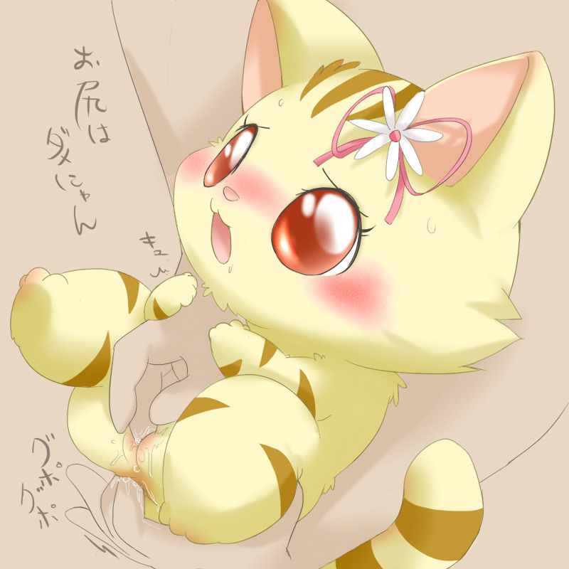 Rule34 – If it exists, there is porn of it / suvaru, jewelpet (species), sango (jewelpet) / 222413