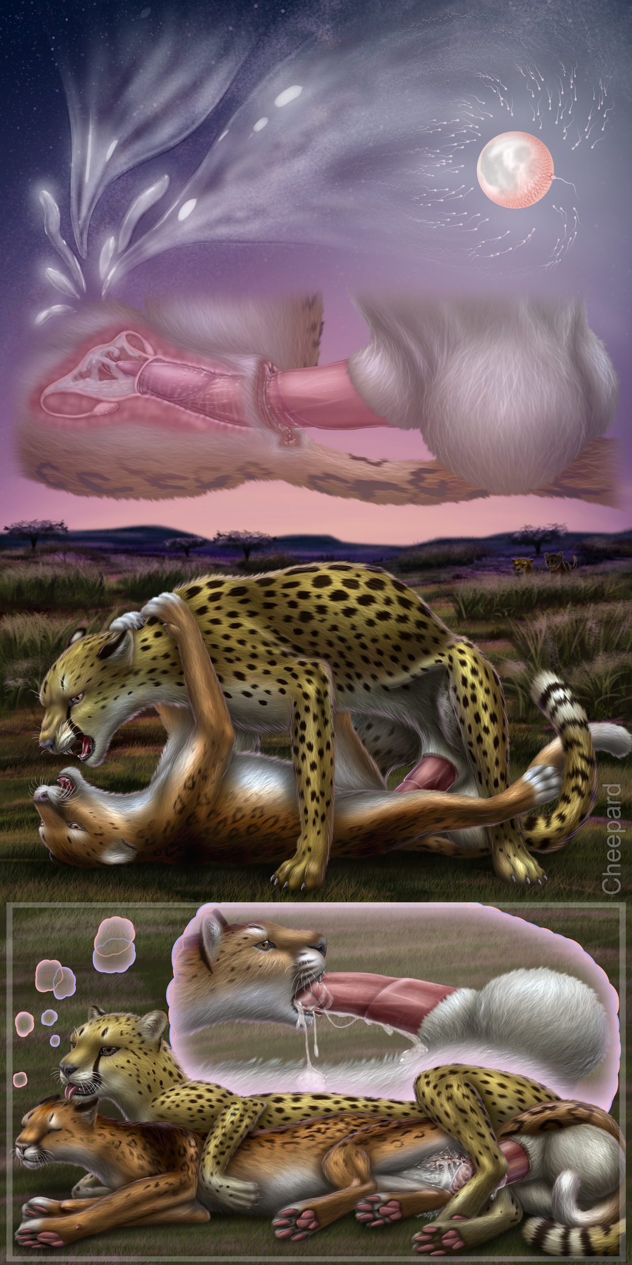 Rule34 – If it exists, there is porn of it / cheepard, jasiri / 222645