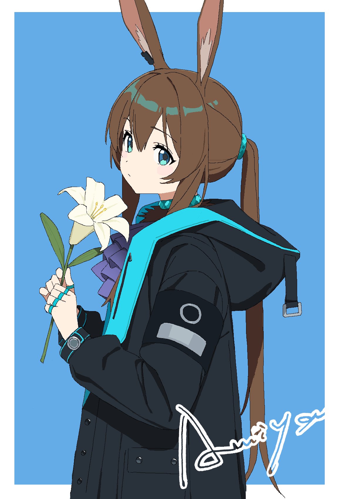 agrafl, amiya (arknights), arknights, highres, 1girl, animal ears, aqua eyes, ascot, black jacket, blue background, border, brown hair, character name, closed mouth, flower, hair between eyes, hair tie, holding, holding flower, hood, hood down, hooded jacket, jacket, jewelry, long hair, long sleeves, looking at viewer, multiple rings, oekaki, outside border, ponytail, purple ascot, ring, solo, white border, white flower