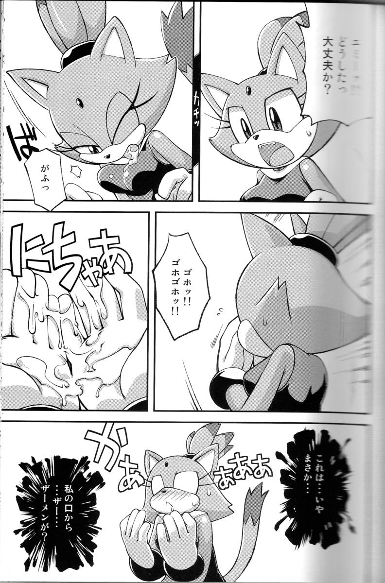 Rule34 – If it exists, there is porn of it / tojyo, blaze the cat / 223478