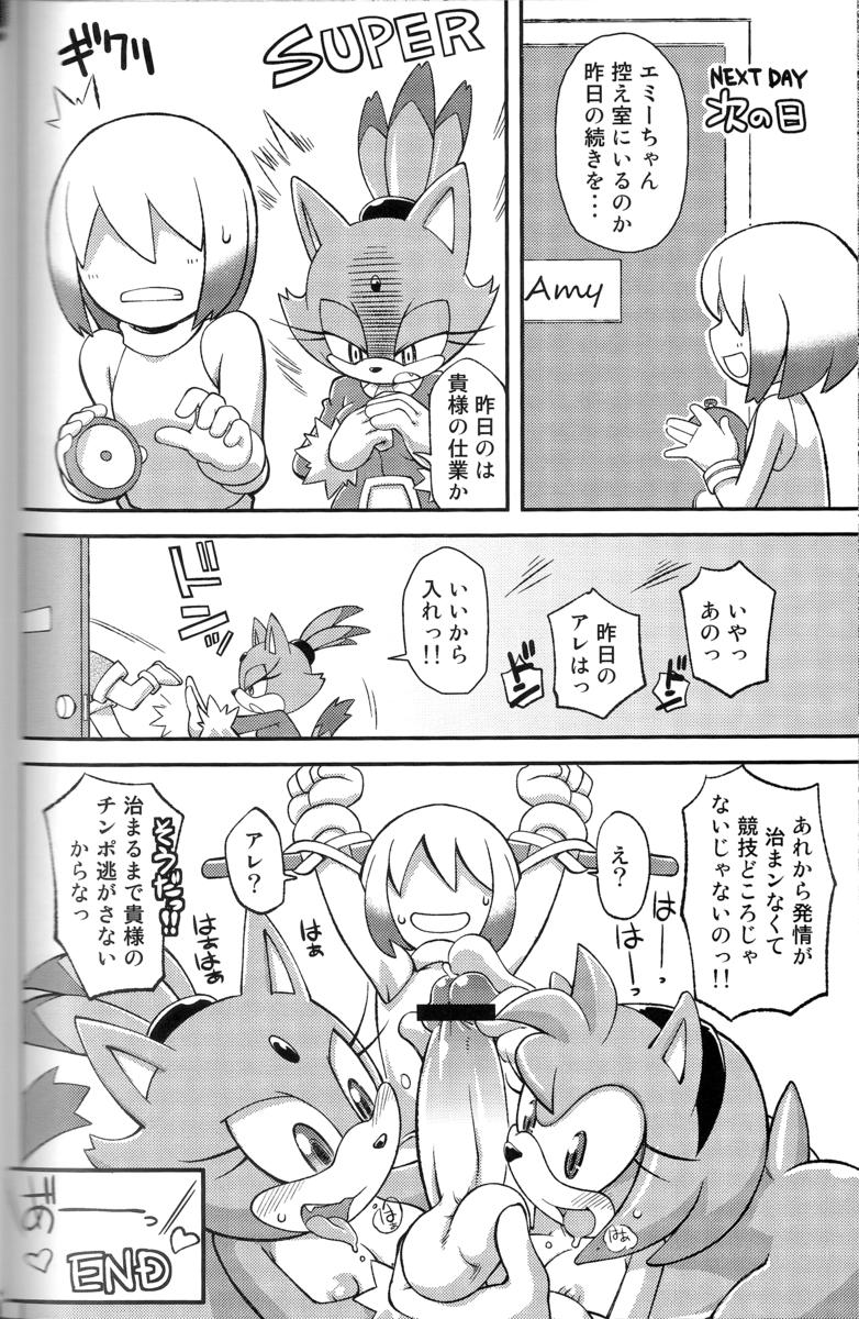 Rule34 – If it exists, there is porn of it / tojyo, blaze the cat / 223505
