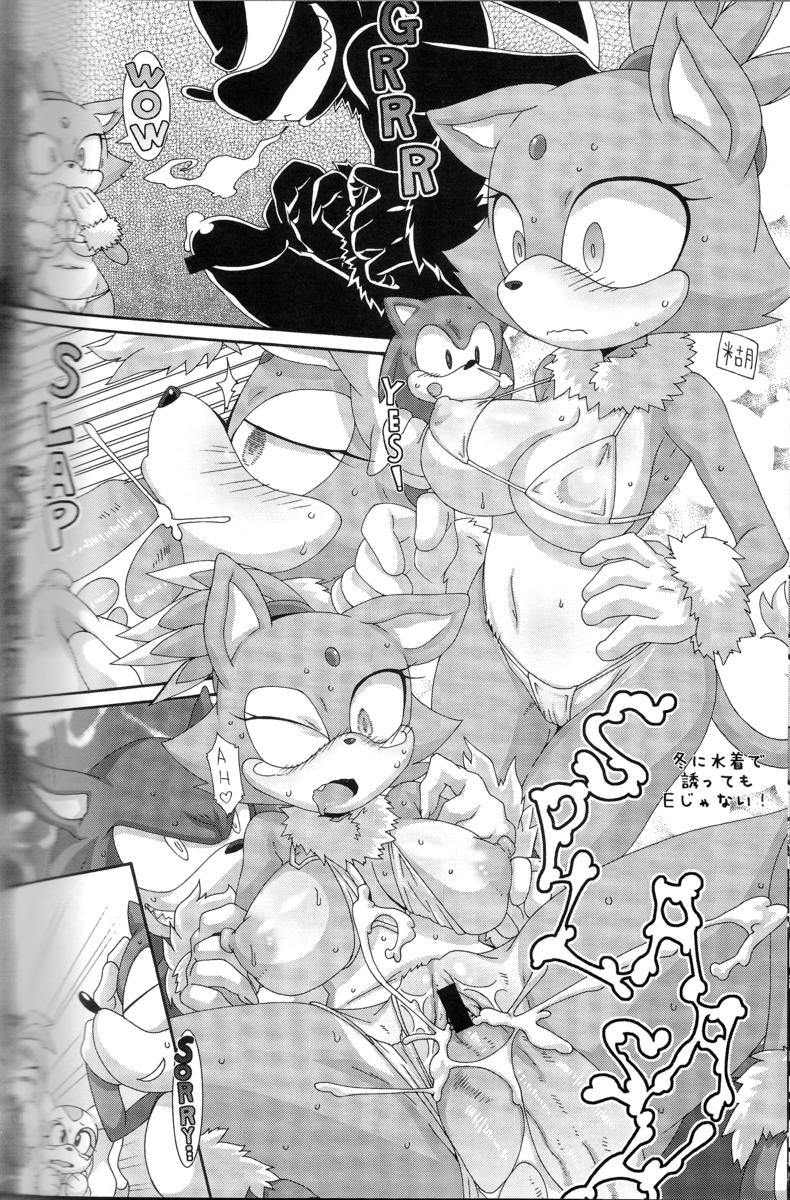 Rule34 – If it exists, there is porn of it / artist request, blaze the cat, sonic the werehog / 223754