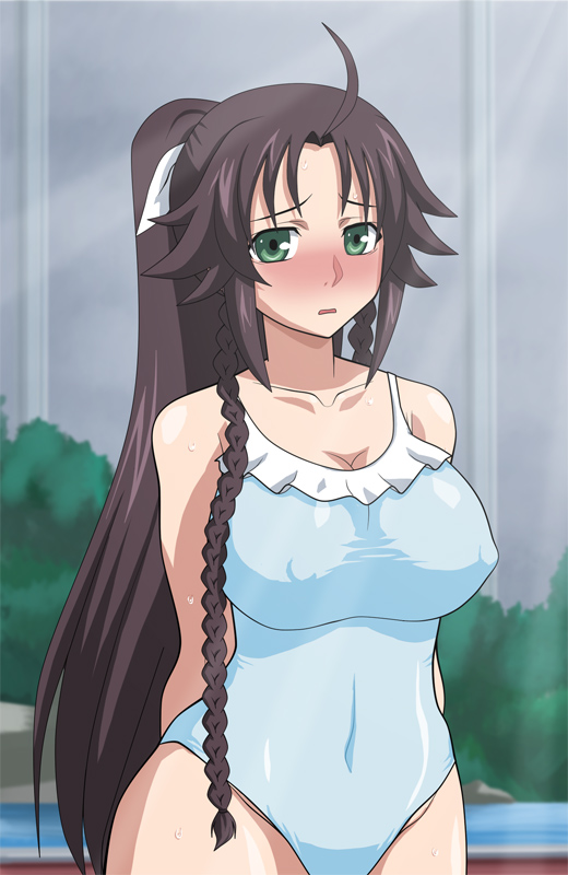 akadama, meishen trinden, koukaku no regios, 1girl, ahoge, blush, braid, breasts, brown hair, covered erect nipples, curvy, female focus, green eyes, hip focus, large breasts, long hair, one-piece swimsuit, ponytail, solo, swimsuit, wide hips