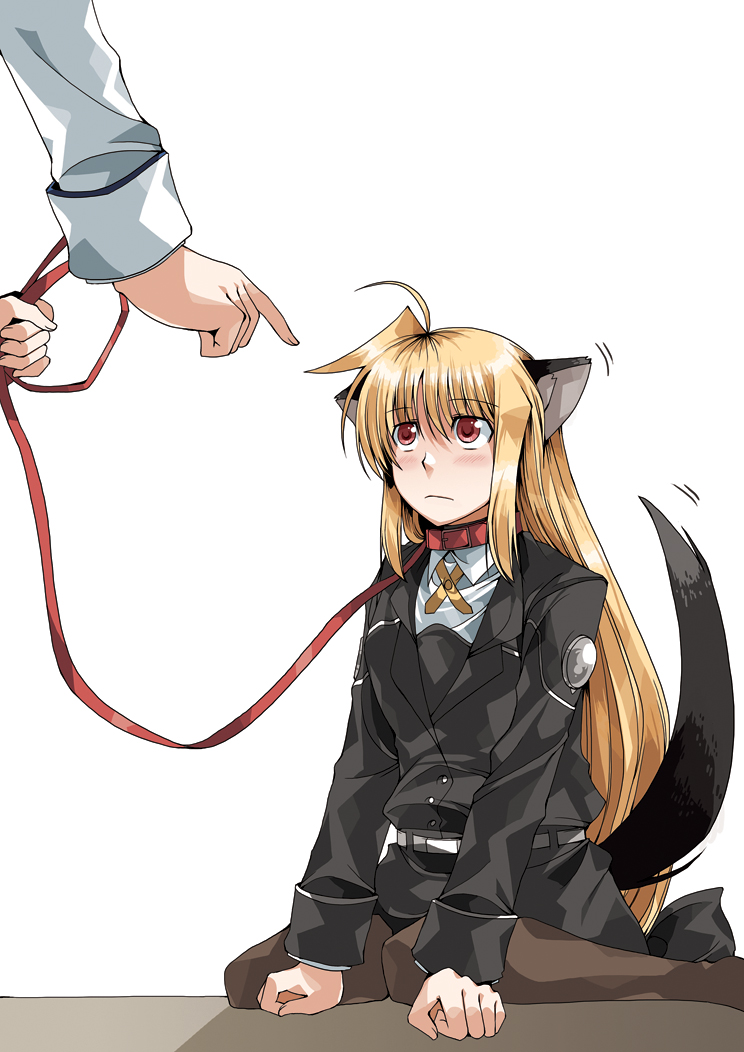 clipe, fate testarossa, takamachi nanoha, lyrical nanoha, mahou shoujo lyrical nanoha strikers, 00s, 1girl, animal ears, blonde hair, blush, dog ears, dog tail, leash, long hair, low-tied long hair, military, military uniform, pantyhose, red eyes, tail, very long hair