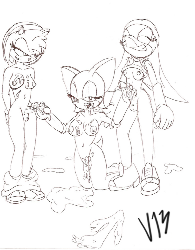 Rule34 – If it exists, there is porn of it / amy rose, rouge the bat, wave the swallow / 224880