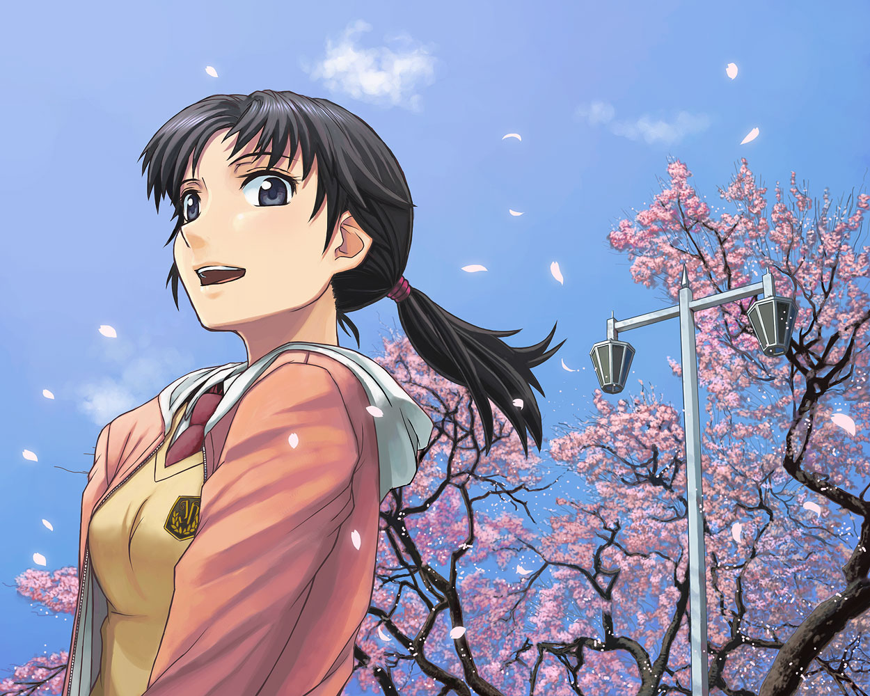 itou (onsoku tassha), 1girl, black hair, blue eyes, cardigan, cherry blossoms, cloud, day, female focus, lamppost, necktie, petals, ponytail, school uniform, sky, solo, tree, wind