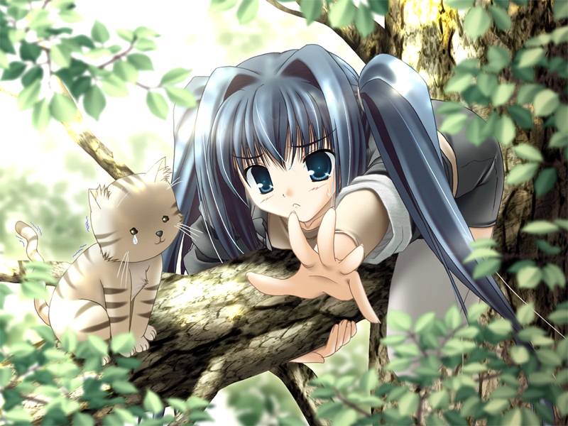 sakaki maki, sugiura aya, hatenaki sora, game cg, non-web source, 1girl, :<, blue eyes, blue hair, cat, female focus, in tree, leaf, long hair, matching hair/eyes, outstretched arm, outstretched hand, reaching, solo, sweatdrop, thighhighs, tree, twintails