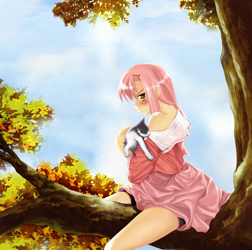 cruizer, katsura hinagiku, hayate no gotoku!, bad id, bad pixiv id, 00s, 1girl, bare shoulders, bike shorts, blush, cat, female focus, in tree, long hair, pink hair, skirt, solo, tree, yellow eyes