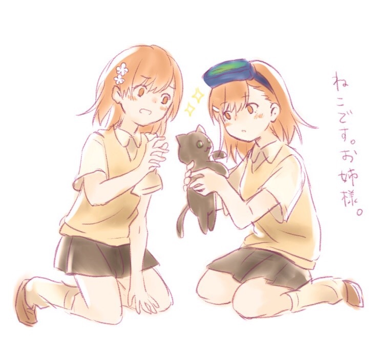 negiko123123, misaka imouto, misaka imouto 10032's cat, misaka mikoto, toaru kagaku no railgun, toaru majutsu no index, commentary request, translation request, 2girls, animal, asymmetrical bangs, bare arms, black cat, blush, brown shoes, brown sweater, brown sweater vest, brown vest, cat, collared shirt, dot nose, flower, flower hairpin, full body, grey skirt, hair between eyes, hair flower, hair ornament, hand up, hands up, holding, holding animal, holding cat, kneehighs, kneeling, loose socks, medium hair, miniskirt, multiple girls, open mouth, parted lips, pleated skirt, school uniform, shirt, shoes, short sleeves, siblings, simple background, sisters, sitting, skirt, socks, sparkle, summer uniform, sweater, sweater vest, tokiwadai school uniform, v-neck, vest, wariza, white background, white flower, white mouth, white shirt, white socks